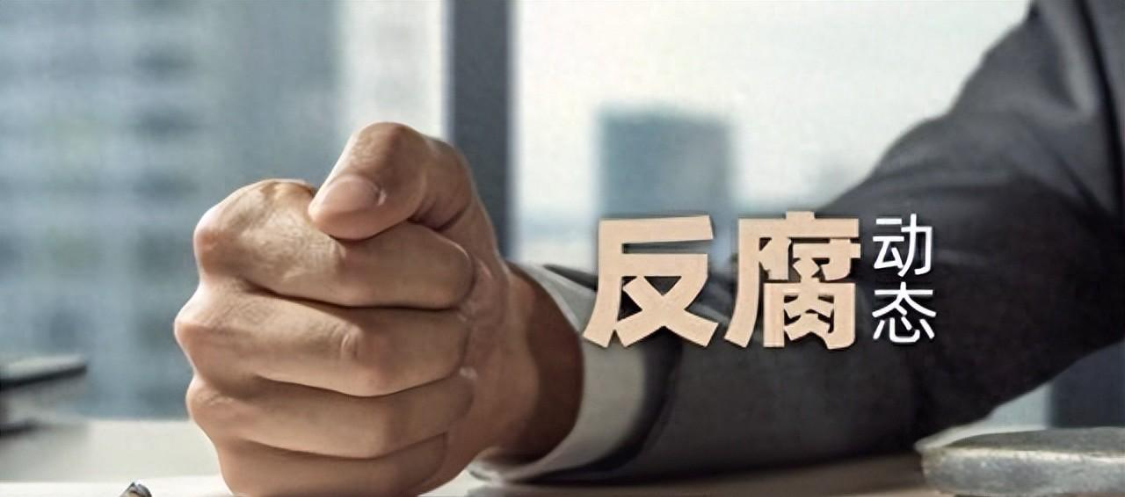 开云体育平台-李小林被查！铁血军魂不许玷污一声惊雷，又一只“老虎”应声落马